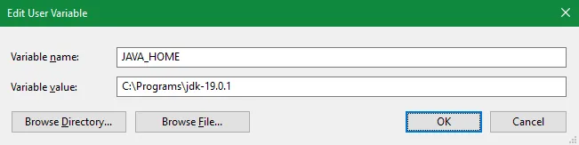 Set JDK 19 for JAVA_HOME