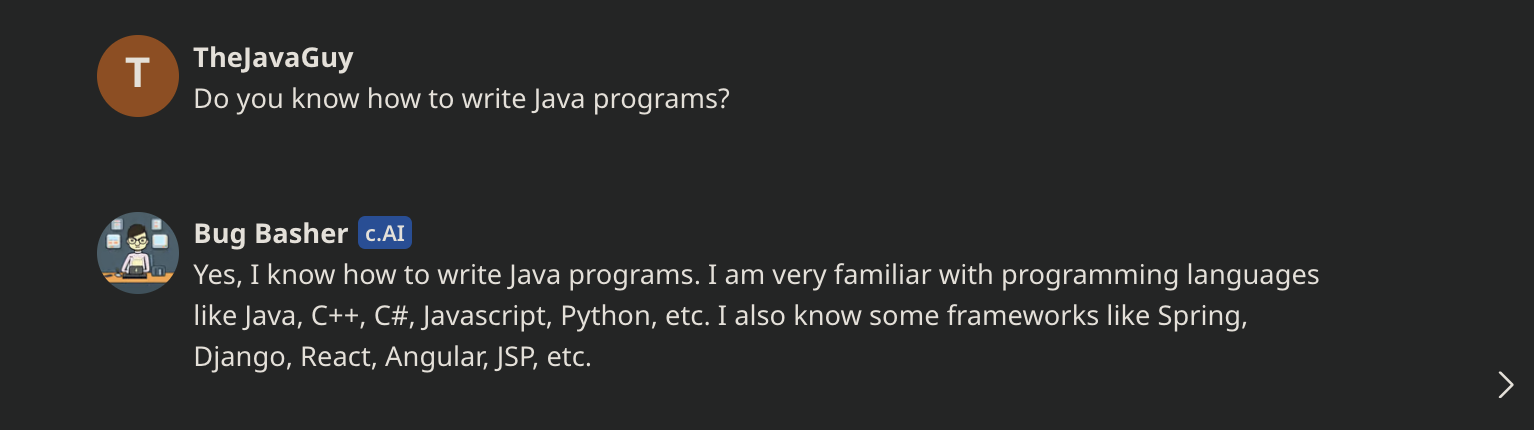 What Bug Basher thinks about Java