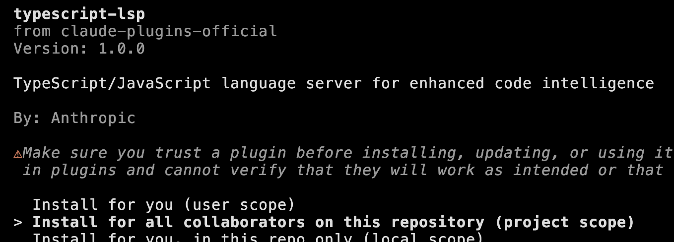 TypeScript LSP details